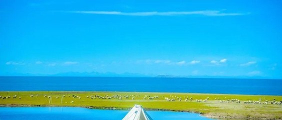 露營熱浪襲來 旅行社轉(zhuǎn)型的機遇與挑戰(zhàn)