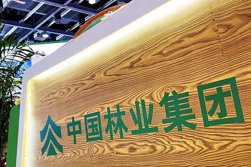 中林集團子公司商票逾期風波加劇，原董事長遭起訴，旅游業(yè)務何去何從？
