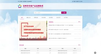貴州電商云技術(shù)實(shí)力獲權(quán)威認(rèn)定，成就信息系統(tǒng)集成服務(wù)新標(biāo)桿